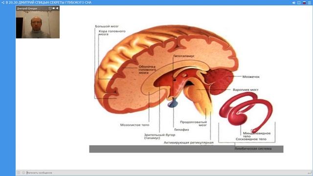 Дмитрий Спицын   Секреты глубокого сна