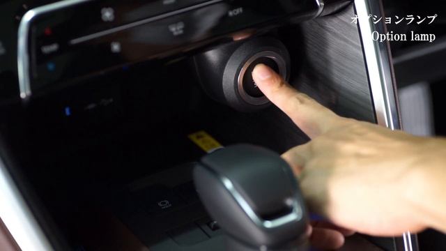 【TOYOTA HARRIER 80 /ハリアー80用】VerticalArrow TypeZs LED Door Mirror Winker / ヴァーティカルアロー 【AVEST】