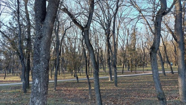 Зима в Ессентуках