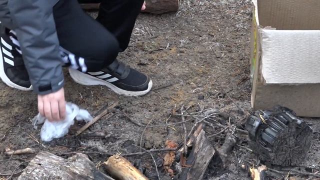 Защитим лес от вырубки! смотреть онлайн