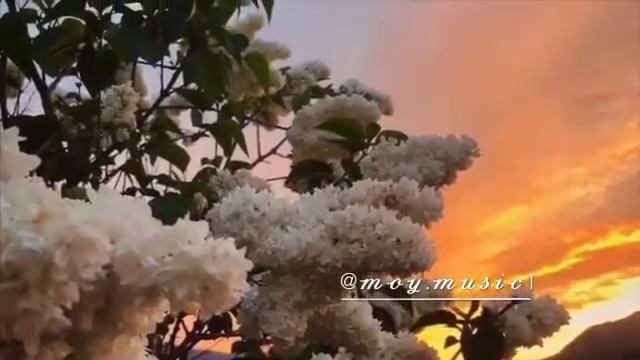 2 июля 2020 г. смотреть онлайн