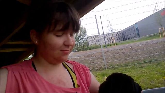 The Cows Are Watching I Tierheimfolge #26 смотреть онлайн