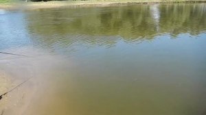 Рыбалка на реке  Бузан 2016 ,Дорога Астрахань-Элиста.   часть 2