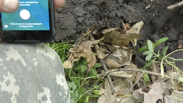 НЕРЕАЛЬНО ПОВЕЗЛО на КОПЕ в ЛЕСУ! Не ПОВЕРИЛ Глазам УВИДЕВ ЦЕНУ этой НАХОДКИ! Коп с RUTUS ALTER 71 смотреть онлайн