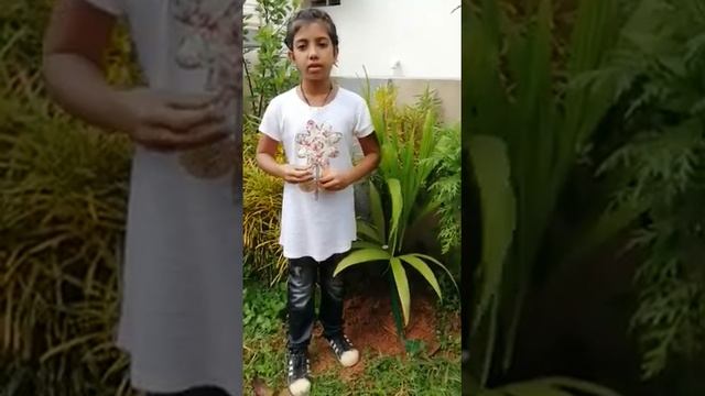 Areca Catechu by Gia смотреть онлайн