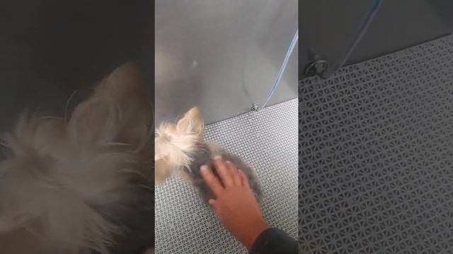 Me And Teddie Both Have Allergies! смотреть онлайн