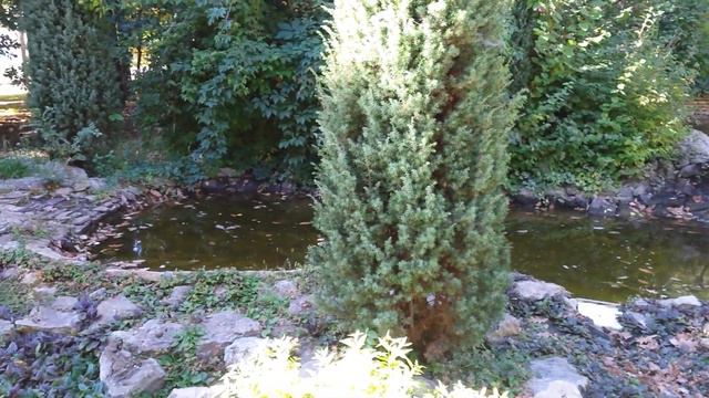 Фонтан в профилакторий-*Волжские дали*!!! смотреть онлайн