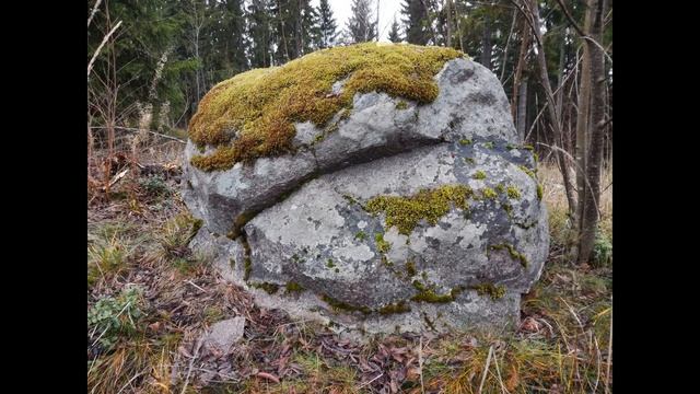 Всё на виду.Уусимаа,Финляндия. смотреть онлайн