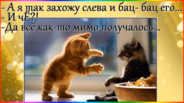 Котэ! ПОЗИТИВ! "Держи хвост пистолетом, и правда всегда будет на твоей стороне!" смотреть онлайн