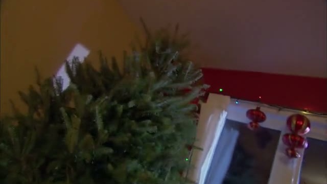La vengeance des sapins de Noël смотреть онлайн