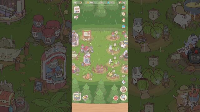 Гоша играет в кошки и суп