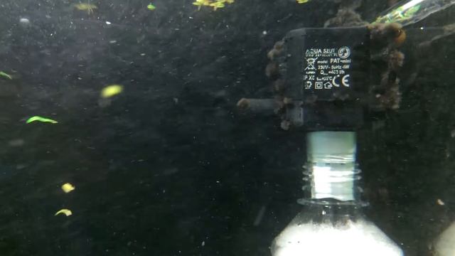 Фильтр из бутылок для аквариума. смотреть онлайн