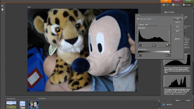 Saving Savvy: Photoshop Elements 7 review for beginners смотреть онлайн