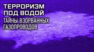 Терроризм под водой. Тайны взорванных газопроводов. Секретные материалы