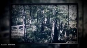 Жуткий Снежный Человек: реальные встречи (фото - видео)