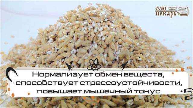 Вкусные блюда на любой вкус 