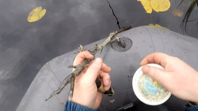 Заряжаем жерлицу Октябрь 2018. На якорёк садим окуня. Якорь на поводок...Рыбалка. смотреть онлайн