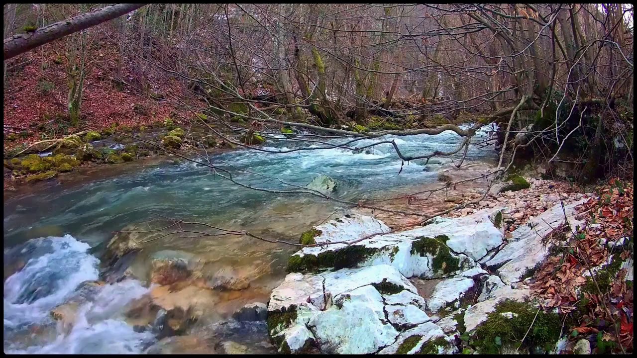 Успокаивающие Звуки. Ручей В Зимнем Лесу. Звуки Лесного Ручья, Щебетание Птиц ✦ Relax смотреть онлайн