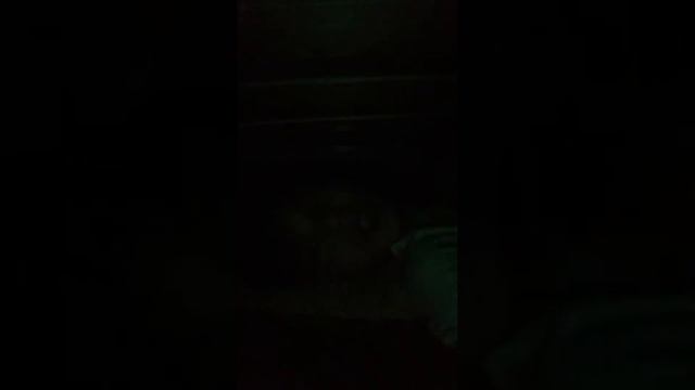 Челленж ночь по диваном смотреть онлайн