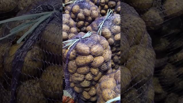 Картофель оптом от компании Картофель Урал. Сорта Гала на мойку и Ред Скарлет для торговли? смотреть онлайн