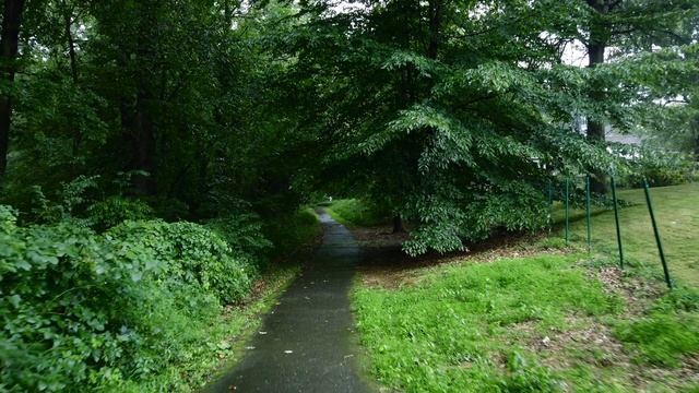 Relaxing Walk In The Rain, Umbrella And Nature Sounds For Sleep And Relaxation, 4k ASMR.