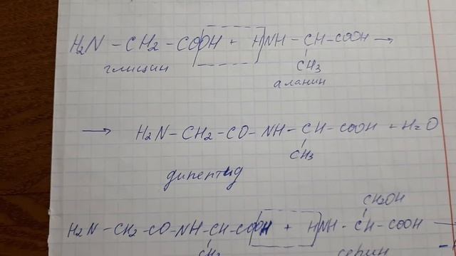 Образование пептидов. Запись структурной формулы пептида