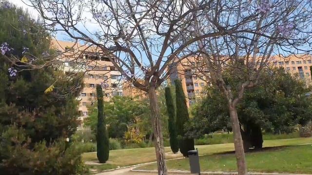 ЦЕНИМ КОГДА ТЕРЯЕМ?♀️ смотреть онлайн