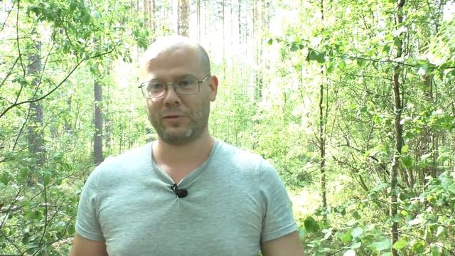 Шекспир, сонет 15 смотреть онлайн