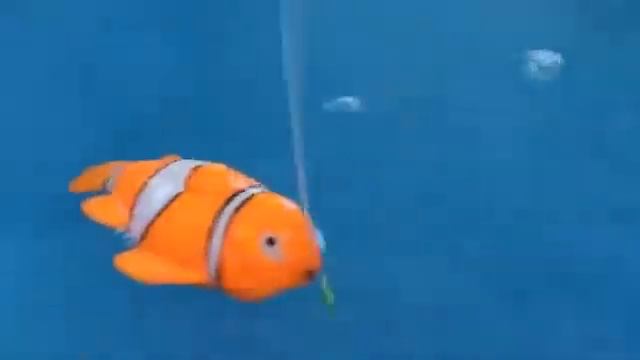 Аттракцион 'Рыбалка' смотреть онлайн