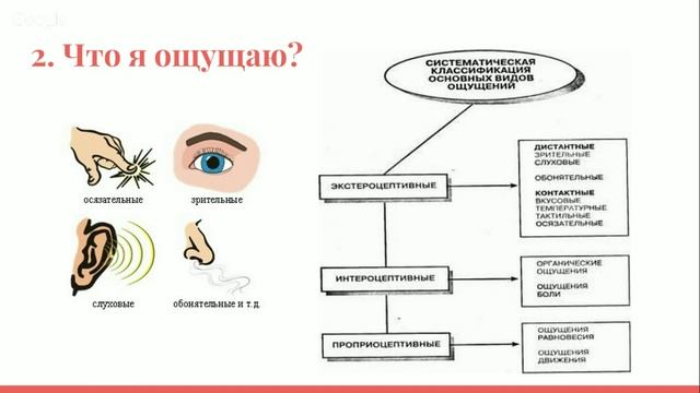 ВИДЕТЬ РЕБЁНКА, ОСТАВАЯСЬ С СОБОЙ (онлайн-семинар, Саевич, Белозёрова ) смотреть онлайн