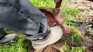 Оборотный плуг для мотоблока-2022.09