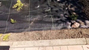 Переделка цветника, мульчирование щепой