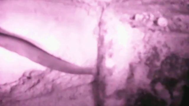 PICT0102 ПОСЛЕ ГОРЯЧЕВА ОЛЯ АВТОРСКИЙ ЗНАК ДВОЕТОЧИЕ МНОГО АКСАКОВА ОПЯТЬ ШЕВЧУК ИЛИ АКСАКОВ ВСЕ ЖЕ смотреть онлайн