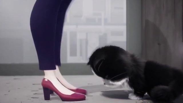 This cat game is super addictive！【Kitten Match】ep14 смотреть онлайн