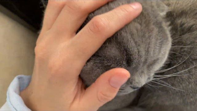 видеодневник/ мои летние дни/ распаковка покупок 💛🔆👩🏼💻 смотреть онлайн