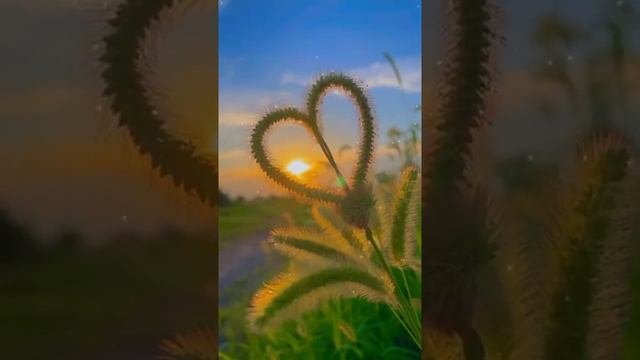 Музыка для души ? Нежная лечебная музыка здоровья и для успокоения нервной системы #Shorts смотреть онлайн