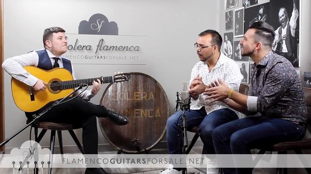 Niño Martín in Solera Flamenca: Bulerias смотреть онлайн