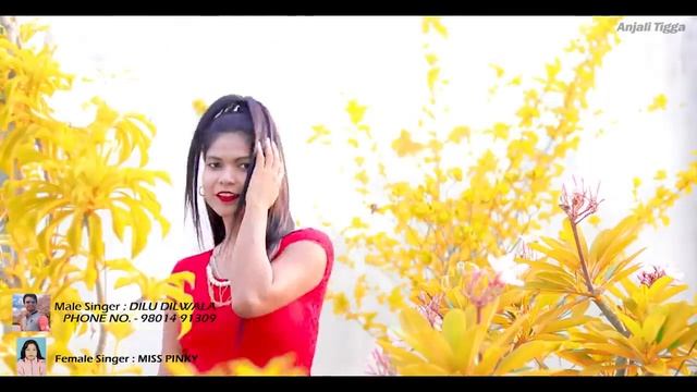 Ranchi kar chodi mane badi badmash re/ New Nagpuri Sadri dance video 2020/ Anjali Tigga/Dilu Dilwal смотреть онлайн