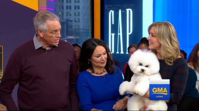 Meet the 'Best in Show' Westminster dog смотреть онлайн
