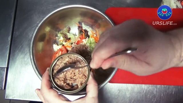 Салаты для Здоровья