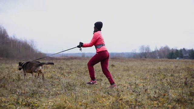 Кто же станет хозяином Олимпа? [Обзоры на собак] смотреть онлайн