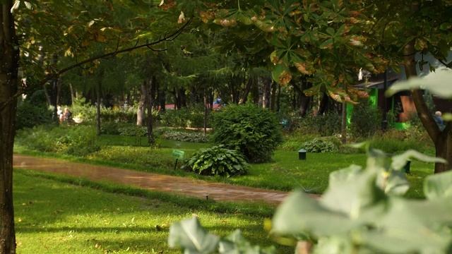 Установка системы автоматического полива в ПКиО "Бабушкинский" г.Москва смотреть онлайн