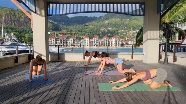 Йога на все тело/ Йога для начинающих/ Динамичная йога смотреть онлайн