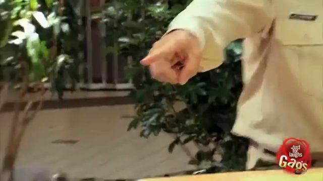 Скрытая камера - путевка в Афганистан