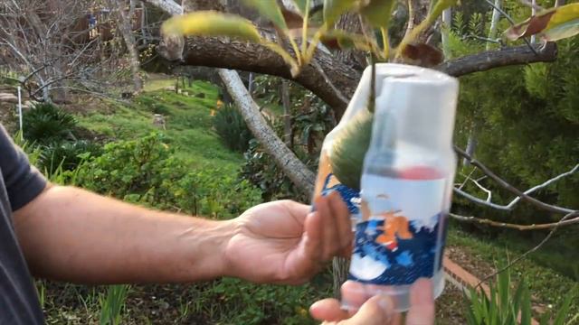 how to keep animals from eating your fruit смотреть онлайн