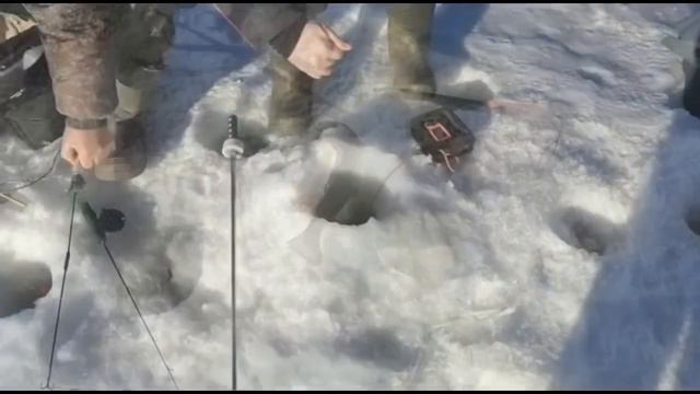 Поимки Основной водоем 2 смотреть онлайн