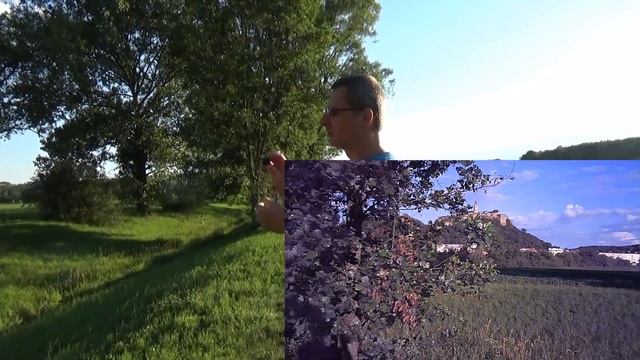 Test der kleinen FHD-Kamera SQ11 - Unboxing Planet смотреть онлайн