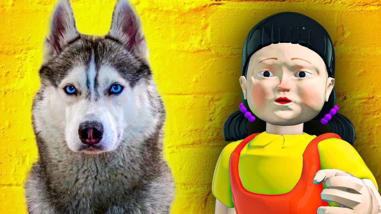 ХАСКИ против ИГРЫ В КАЛЬМАРА!! (Хаски Бандит) Говорящая собака смотреть онлайн