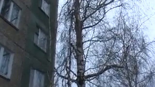 Срубить нельзя оставить смотреть онлайн