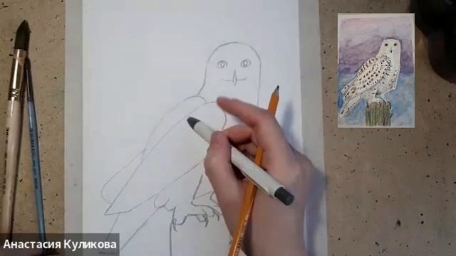 Мастер-класс "Сова". Акварель 8+ смотреть онлайн